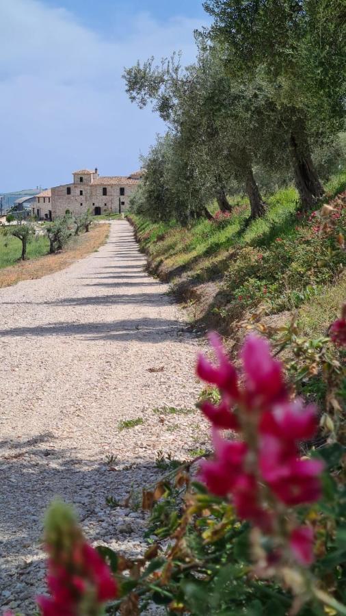 Castello Di Petecciano B&B Mosciano SantʼAngelo Exterior foto